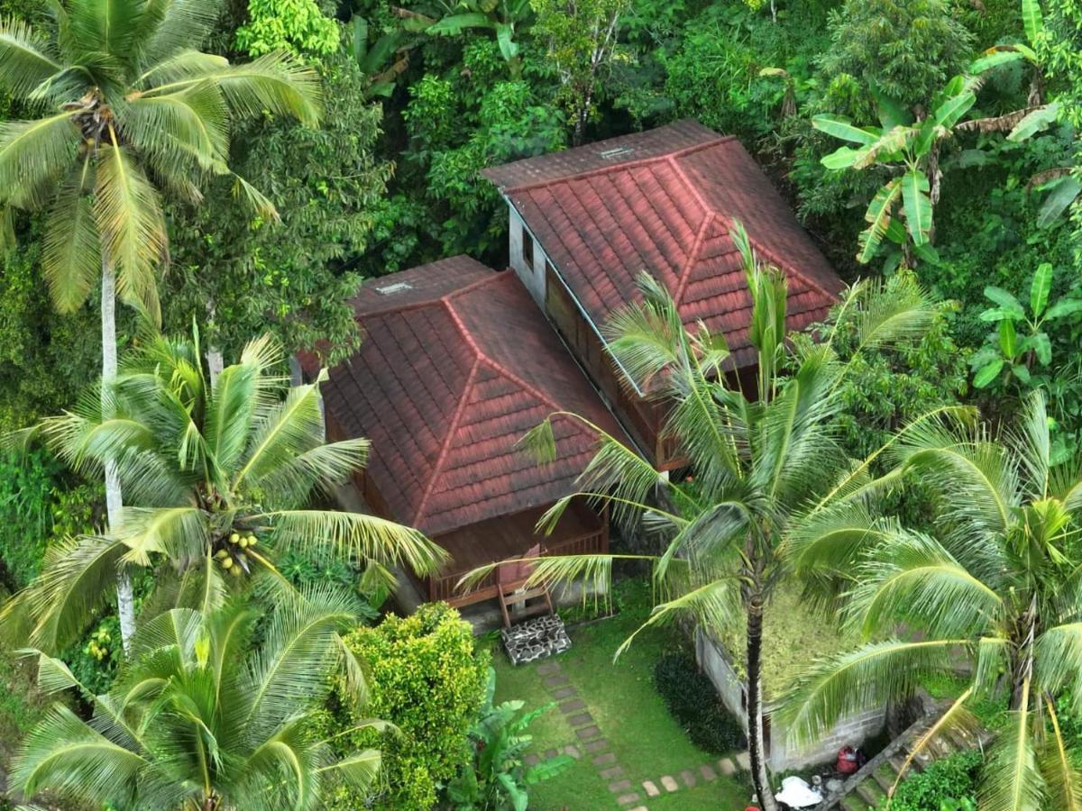 Uma D'Nyuh Homestay Singaraja Exteriér fotografie