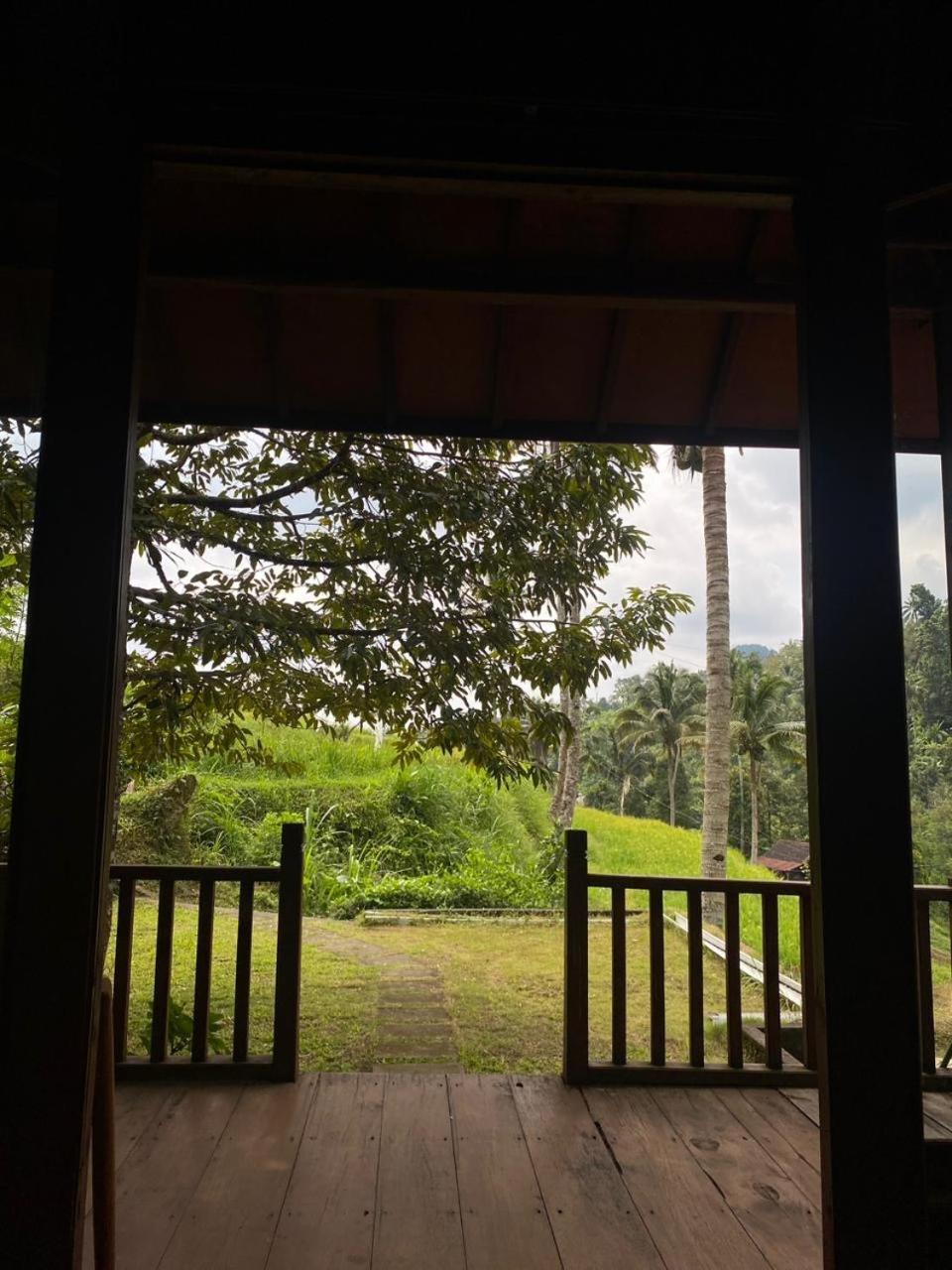 Uma D'Nyuh Homestay Singaraja Exteriér fotografie
