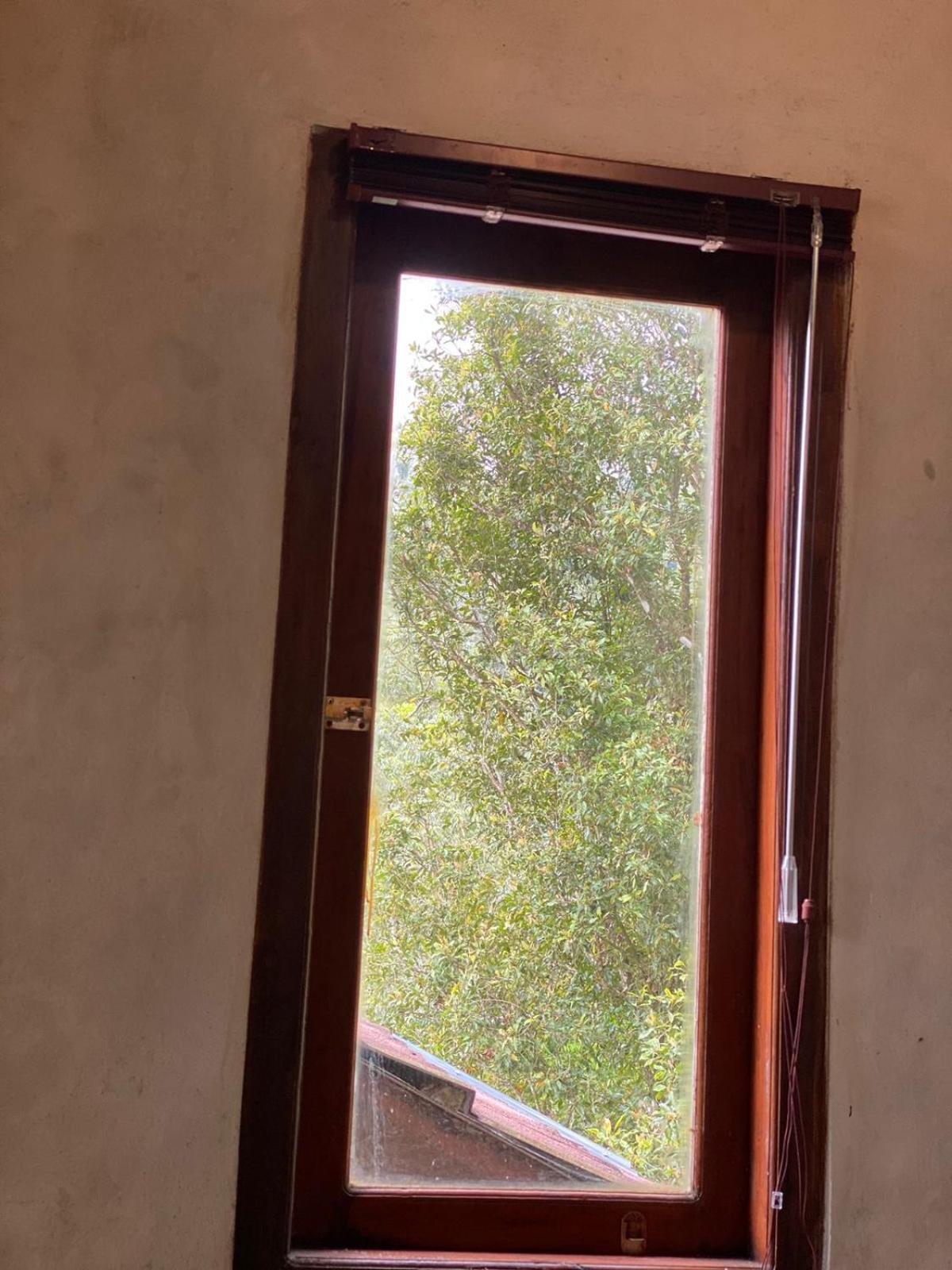 Uma D'Nyuh Homestay Singaraja Exteriér fotografie