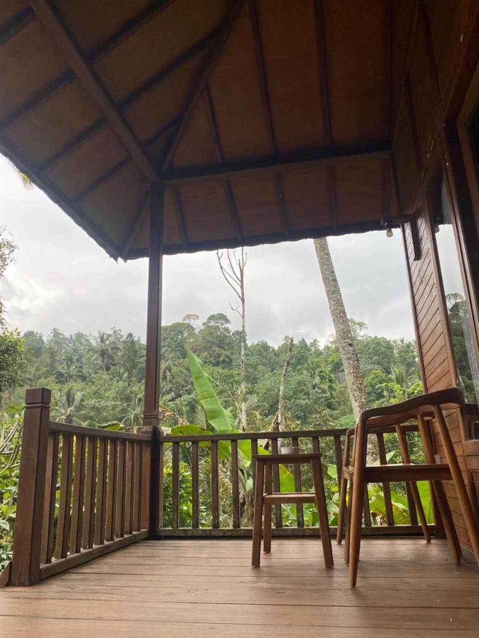 Uma D'Nyuh Homestay Singaraja Exteriér fotografie