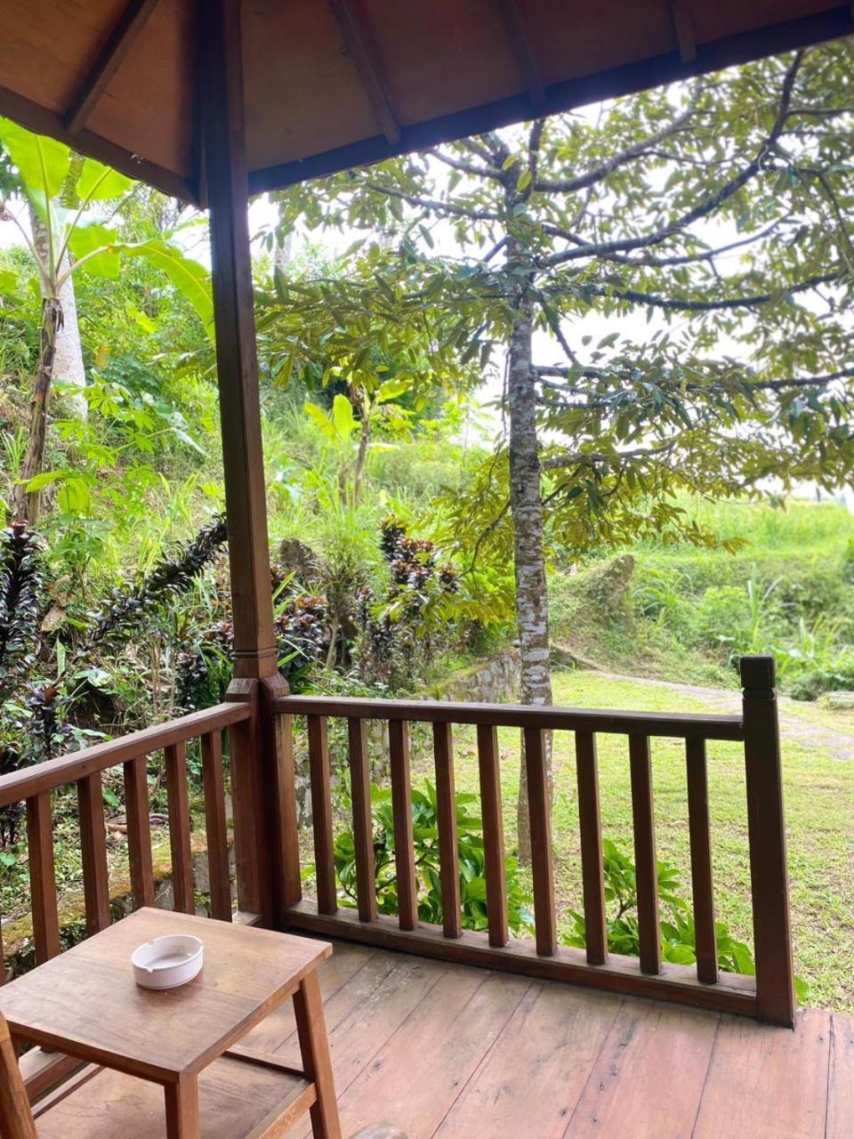Uma D'Nyuh Homestay Singaraja Exteriér fotografie