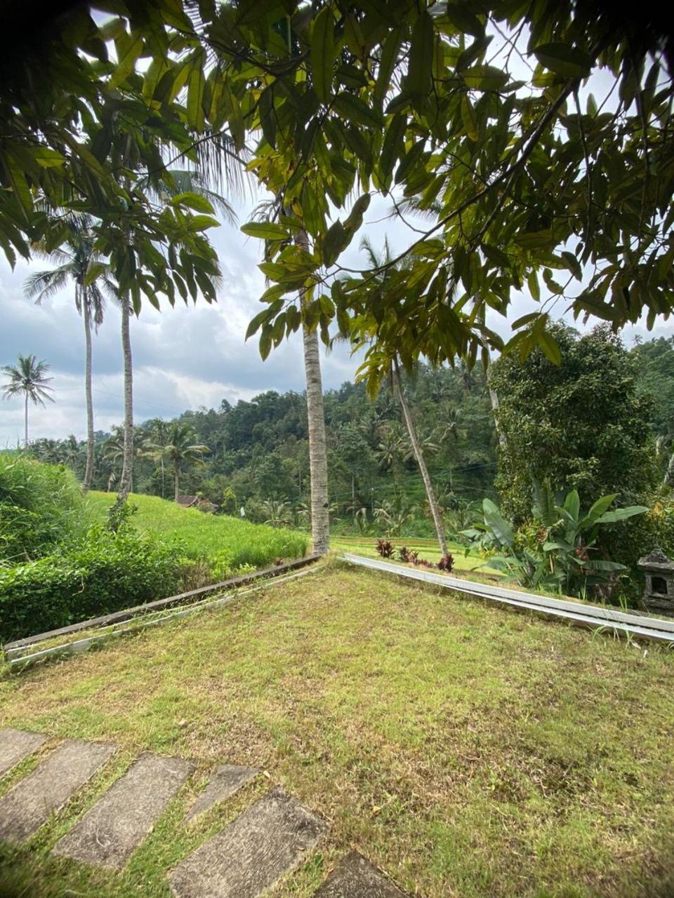 Uma D'Nyuh Homestay Singaraja Exteriér fotografie
