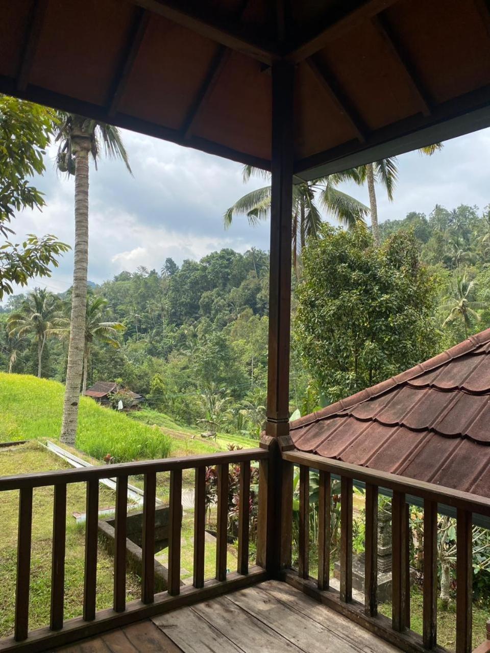 Uma D'Nyuh Homestay Singaraja Exteriér fotografie